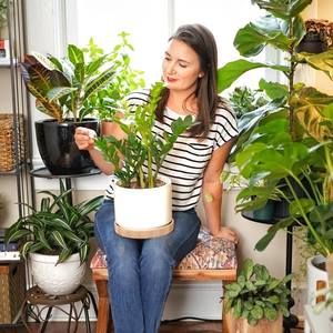 Meet your Posher, Tabatha